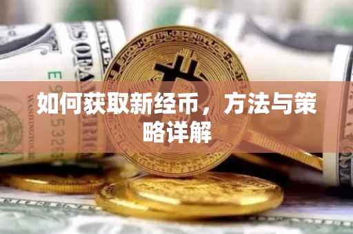 如何获取新经币，方法与策略详解