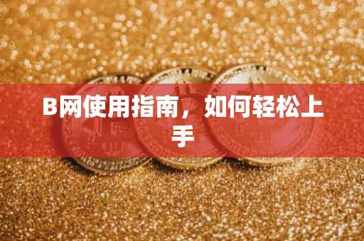 B网使用指南，如何轻松上手