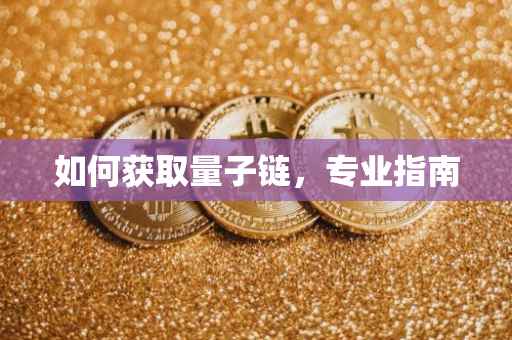 如何获取量子链，专业指南