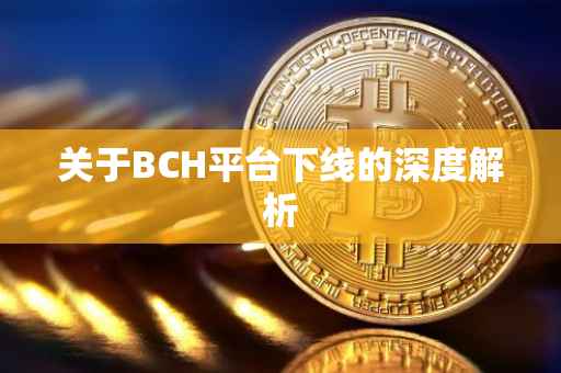 关于BCH平台下线的深度解析