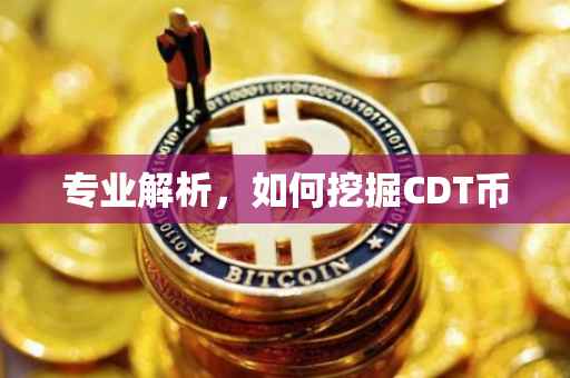 专业解析，如何挖掘CDT币