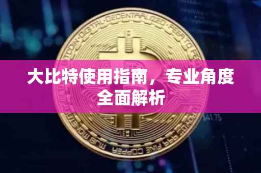 大比特使用指南，专业角度全面解析