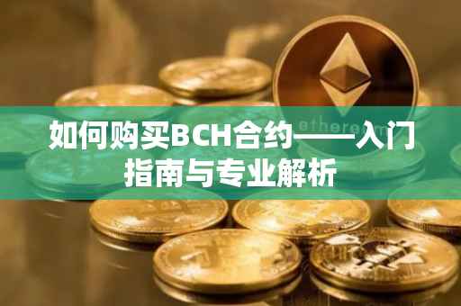 如何购买BCH合约——入门指南与专业解析