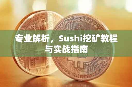 专业解析，Sushi挖矿教程与实战指南