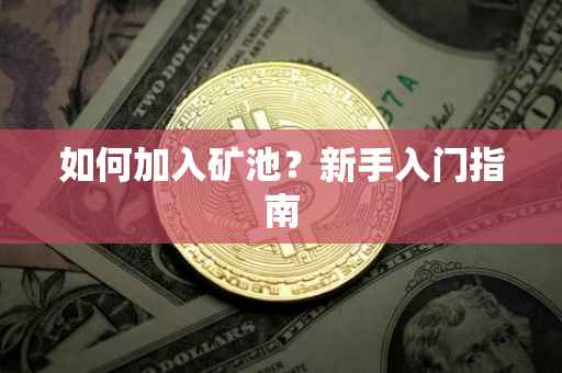 如何加入矿池？新手入门指南