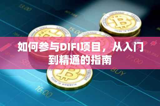 如何参与DIFI项目，从入门到精通的指南