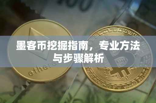 墨客币挖掘指南，专业方法与步骤解析