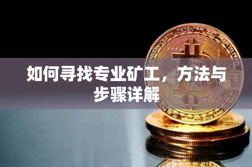 如何寻找专业矿工，方法与步骤详解