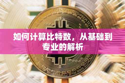 如何计算比特数，从基础到专业的解析