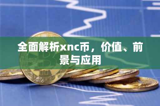全面解析xnc币，价值、前景与应用