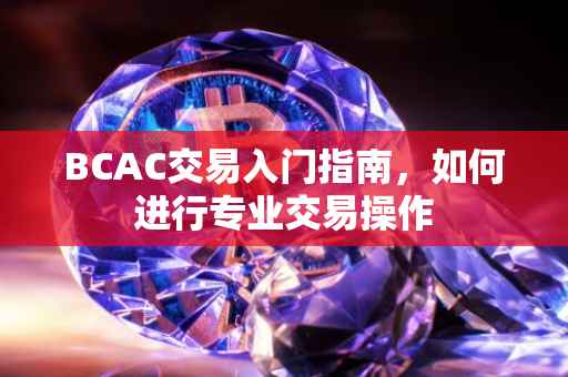 BCAC交易入门指南，如何进行专业交易操作