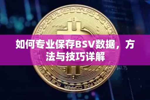 如何专业保存BSV数据，方法与技巧详解
