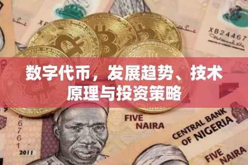 数字代币，发展趋势、技术原理与投资策略