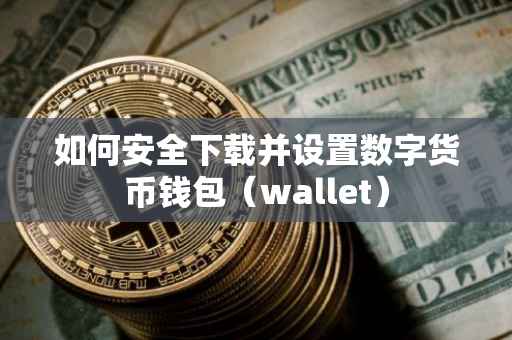 如何安全下载并设置数字货币钱包（wallet）