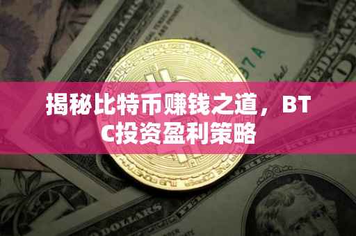 揭秘比特币赚钱之道，BTC投资盈利策略