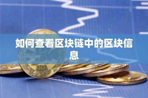 如何查看区块链中的区块信息