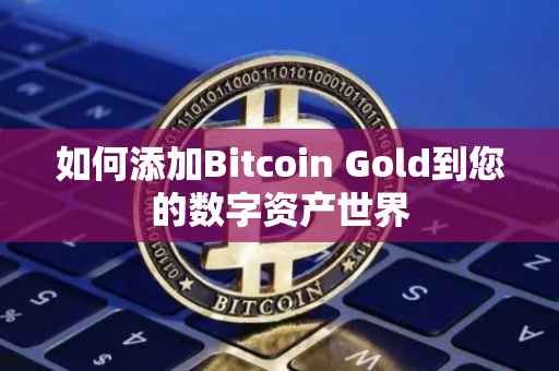 如何添加Bitcoin Gold到您的数字资产世界