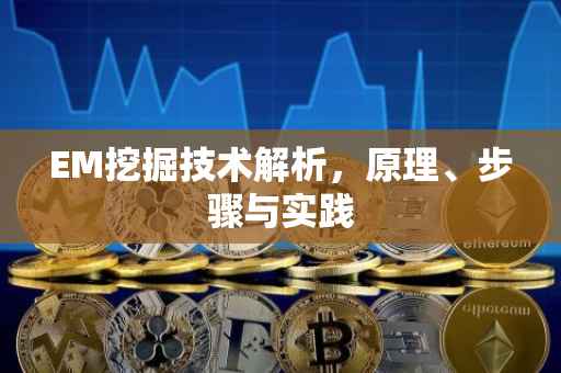 EM挖掘技术解析，原理、步骤与实践