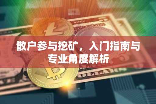 散户参与挖矿，入门指南与专业角度解析