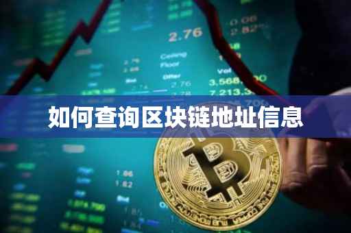 如何查询区块链地址信息