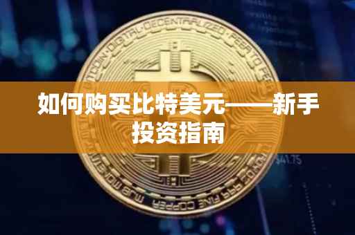 如何购买比特美元——新手投资指南