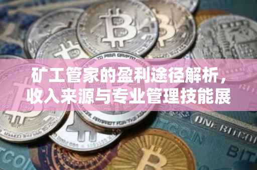 矿工管家的盈利途径解析，收入来源与专业管理技能展现