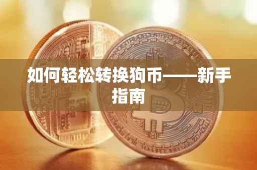 如何轻松转换狗币——新手指南