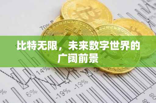比特无限，未来数字世界的广阔前景