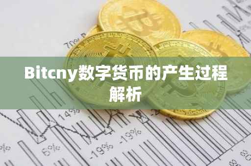 Bitcny数字货币的产生过程解析