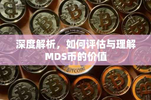 深度解析，如何评估与理解MDS币的价值