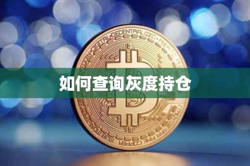 如何查询灰度持仓