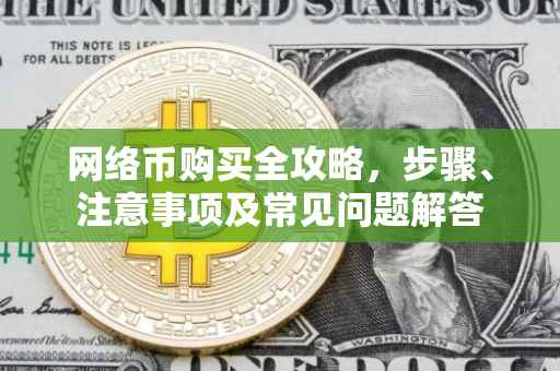 网络币购买全攻略，步骤、注意事项及常见问题解答