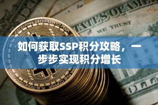 如何获取SSP积分攻略，一步步实现积分增长