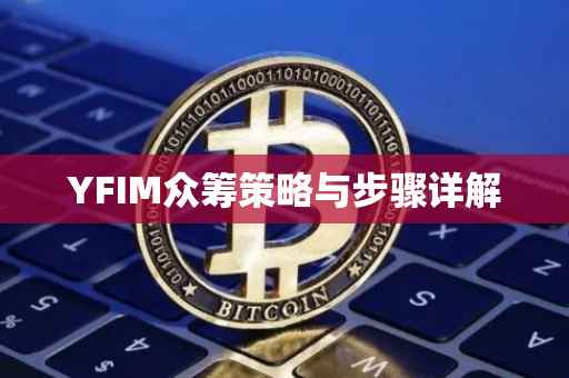 YFIM众筹策略与步骤详解