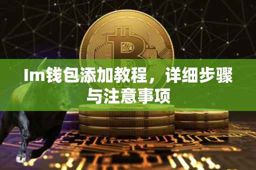 Im钱包添加教程，详细步骤与注意事项