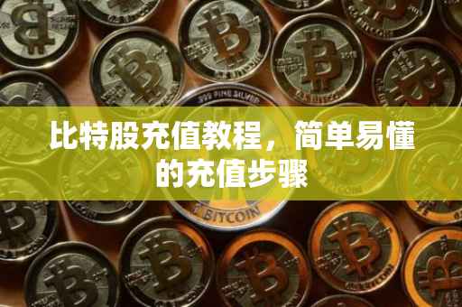 比特股充值教程，简单易懂的充值步骤