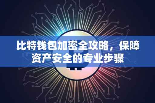 比特钱包加密全攻略，保障资产安全的专业步骤