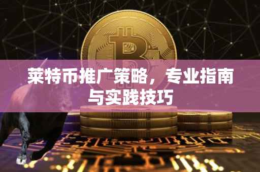 莱特币推广策略，专业指南与实践技巧