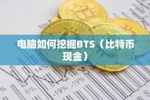 电脑如何挖掘BTS（比特币现金）