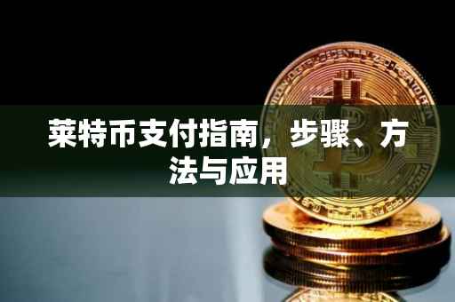 莱特币支付指南，步骤、方法与应用