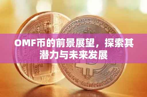 OMF币的前景展望，探索其潜力与未来发展
