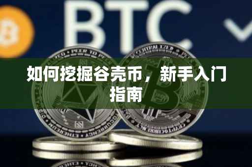 如何挖掘谷壳币，新手入门指南
