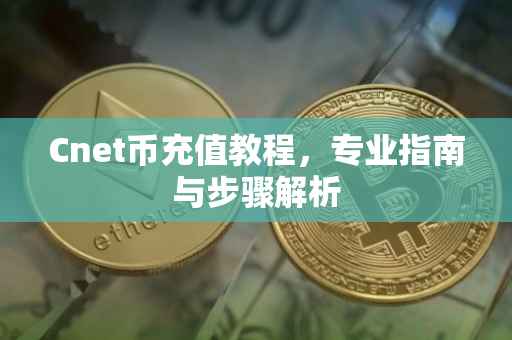 Cnet币充值教程，专业指南与步骤解析