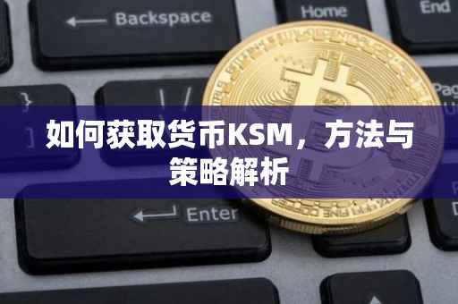 如何获取货币KSM，方法与策略解析