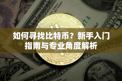 如何寻找比特币？新手入门指南与专业角度解析