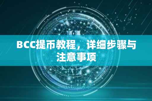 BCC提币教程，详细步骤与注意事项