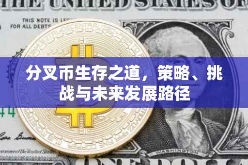 分叉币生存之道，策略、挑战与未来发展路径