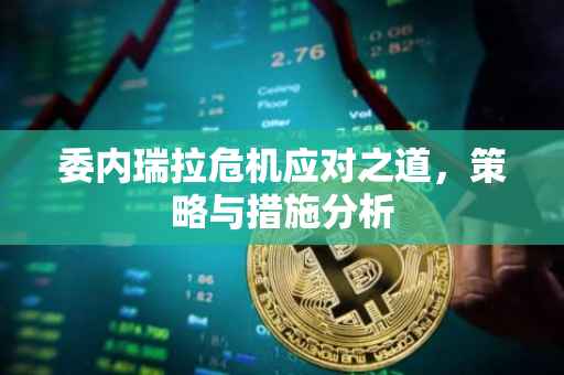 委内瑞拉危机应对之道，策略与措施分析