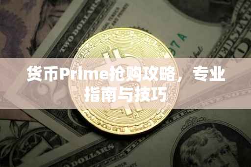 货币Prime抢购攻略，专业指南与技巧