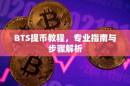 BTS提币教程，专业指南与步骤解析